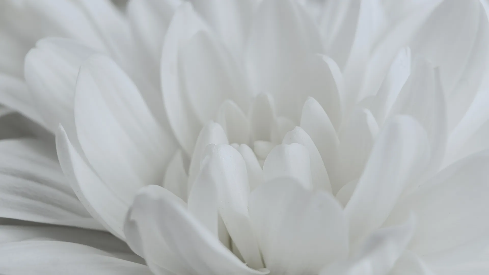 Paarfotografie